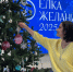 60 нижегородских предприятий приняли участие в акции Ёлка желаний. Мой бизнес помогает 52 - НИА Нижний Новгород