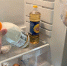 Не ешьте это перед сном: названы продукты, вызывающие ночные кошмары - ProGorodNN.Ru
