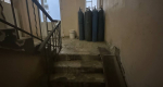 "Падают на голову и в еду": пациенты нижегородской больницы пожаловались на нашествие тараканов