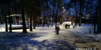 Около 70 нижегородцев госпитализировали из-за скользких дорог - НИА Нижний Новгород