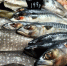 Производителя опасной рыбной продукции оштрафовали в Нижегородской области - Newsroom24.Ru