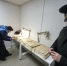 597 нарушений при оформлении ветдокументов выявил нижегородский Россельхознадзор - Комсомольская Правда