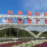 Нижегородская стела вышла в финал всероссийского конкурса - Газета День города. Нижний Новгород