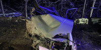 Опубликованы фото с места ДТП с погибшими в Нижегородской области - фото 1 - vGorodeN.Ru