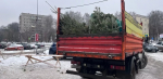 Продавцов "пиратских" елей поймали в Советском районе