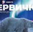 «Единая Россия» выпустила шестой номер журнала «Первичка» - Единая Россия