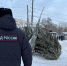 Нижегородские полицейские изъяли 330 елок и изделий из них во время рейда - Сетевое издание Живем в Нижнем