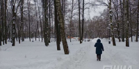 58,5 млн рублей направят на ремонт сквера космонавта Комарова в Нижнем Новгороде - НИА Нижний Новгород