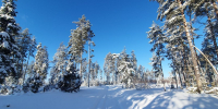 Лютые морозы до -29 С надвигаются на Нижний Новгород - фото 1 - vGorodeN.Ru