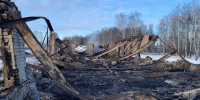 Более 50 животных погибли на пожаре в Нижегородской области - фото 1 - vGorodeN.Ru