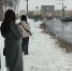 Трудоустройство дизайнером закончилось для молодой жительницы Городца денежными потерями - ProGorodNN.Ru