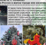 1 - Правительство Нижегородской области