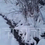Нижегородцы заявили о новом экологическом ЧП в Богородске - фото 1 - vGorodeN.Ru