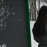 Ответив на звонок, молодая девушка из Дзержинска осталась без денег и с кредитом - ProGorodNN.Ru