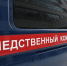 Бастрыкин проконтролирует расследование дела о сходе наледи на жительницу Выксы - Комсомольская Правда