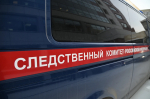 Бастрыкин проконтролирует расследование дела о сходе наледи на жительницу Выксы