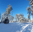 По ощущениям до -38 C: лютые морозы обещают нижегородцам в январе - фото 1 - vGorodeN.Ru