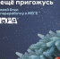 Новогодние елки можно сдать на переработку в ТЦ МЕГА Нижний Новгород - Газета День города. Нижний Новгород