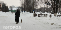 Жительница Нижегородской области нашла в себе силы встать на путь исправления и вернуть детей из детдома - ProGorodNN.Ru