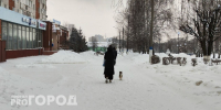 Посидев в интернете, жительница Бора осталась без денег и отпуска - ProGorodNN.Ru
