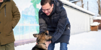 Новые меры поддержки для приютов бездомных животных заработали в Нижнем Новгороде по решению мэра Юрия Шалабаева - Администрация г. Нижний Новгород