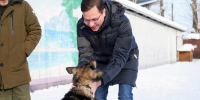 Юрий Шалабаев: дополнительно будем компенсируем затраты на лечение кошек и собак - Время Н