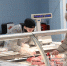Горох и мясную продукцию из будущего обнаружили в Нижегородской области - НИА Нижний Новгород