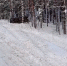 Машина вылетела в кювет и перевернулась в Нижегородской области - фото 1 - vGorodeN.Ru