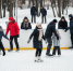 От одиночества к дружбе: мастер-класс по катанию на коньках в -20°C объединил соседей в парке - ProGorodNN.Ru