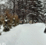 Жительница Городца потеряла почти 300 тысяч рублей, ставя лайки - ProGorodNN.Ru