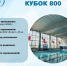 Региональные соревнования по плаванию «Кубок 800» состоятся в бассейне ФОК «Полет», новости ФПНО, новости спорта России плавание - Федерация плавания