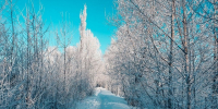 Морозы до -33 С пообещали нижегородцам 3 и 4 февраля - фото 1 - vGorodeN.Ru