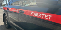 В Нижнем Новгороде будут судить иностранцев, которые затолкали знакомого в машину и увезли - ProGorodNN.Ru