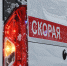 В Нижегородском цирке акробат получил тяжёлые травмы при падении с лошади - Открытый Нижний