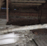 D318A350-5BE4-45AF-AEBC-F447B3E03F84.jpeg - НТА-Приволжье