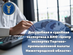 Досудебная и судебная экспертиза