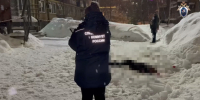 В Нижнем Новгороде по факту гибели девушки в результате падения наледи возбуждено уголовное дело (Видео-комментарий, оперативное видео) - СУ СК РФ