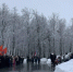Нижегородцы почтили память воинов-интернационалистов - Нижегородская правда