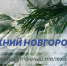 Программа передач телеканала “Нижний Новгород 24” на 17 февраля - ГТРК Нижний Новгород