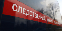 Мать и ее 15-летнего сына нашли мертвыми в квартире на Автозаводе - НИА Нижний Новгород