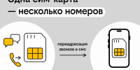 Простой и бесплатный способ привязать китайский номер к российской сим-карте с помощью Билайна - НИА Нижний Новгород