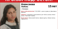 Пропавшую 15-летнюю девочку ищут в Богородске - Нижегородская правда