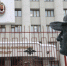 Раскрыты детали дела против директора Института демографического развития - НИА Нижний Новгород