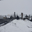 Коровы погибли на пожаре в Нижегородской области - Нижегородская правда