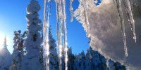 В начале марта в Нижнем Новгороде ожидается оттепель до 0 °C - Открытый Нижний