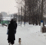 Судьбоносный год: Володина назвала знаки, которым Вселенная подарит билет в роскошную жизнь - ProGorodNN.Ru