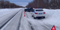 Восьмилетний мальчик оказался в больнице после ДТП в Нижегородской области - фото 1 - vGorodeN.Ru