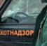 Два случая браконьерства выявили в Нижегородской области с начала года - Сетевое издание Живем в Нижнем