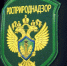 НВОС: Росприроднадзор проверяет, как нижегородские компании платят экосбор - Открытый Нижний