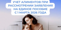 Алименты для пособий нижегородцам начнут считать по-новому с марта - ИА Нижний сейчас